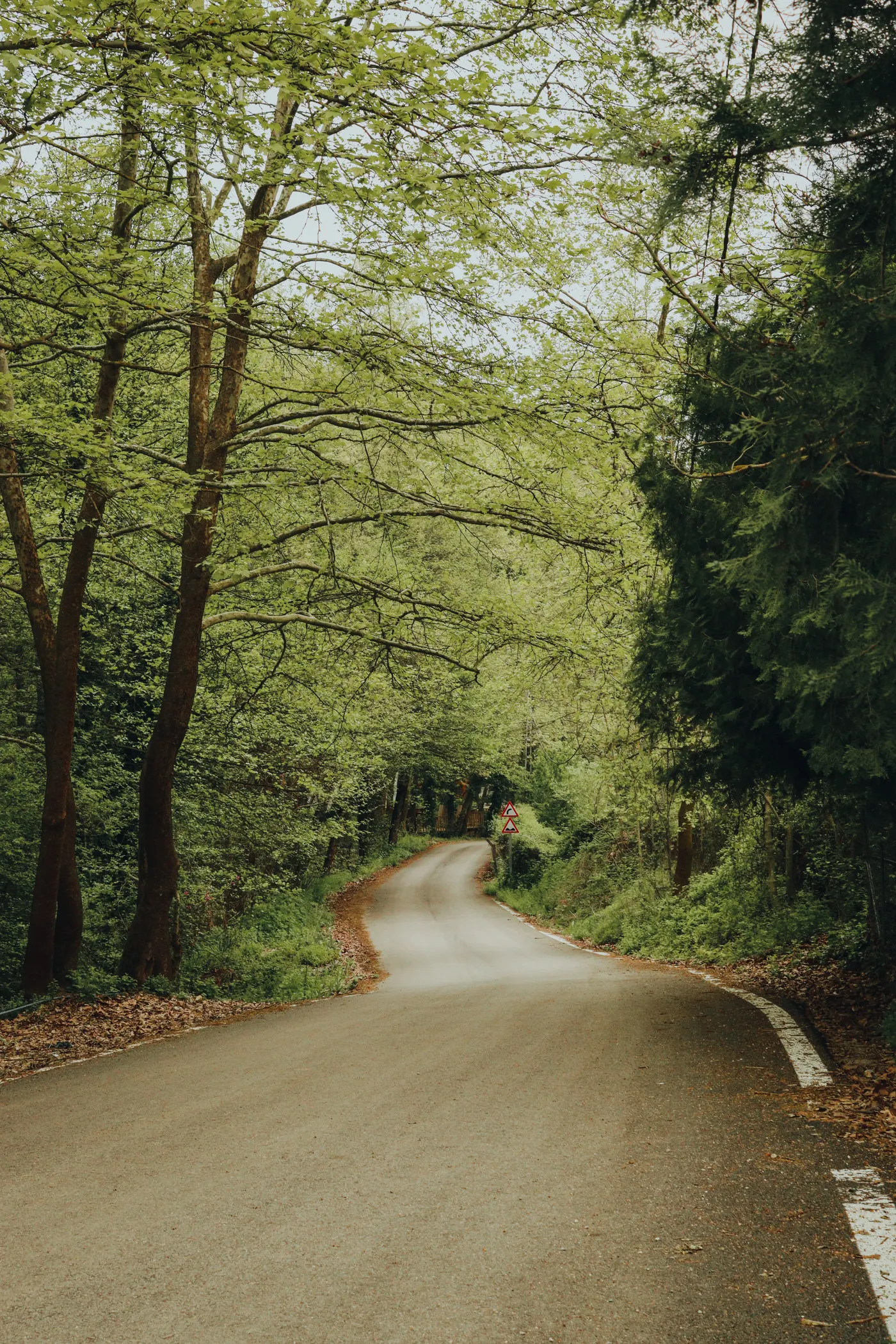 A winding two-lane road through a wooded landscape